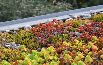 the cost of Blyford green roof installation