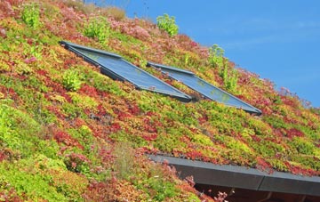 Blyford living roof systems