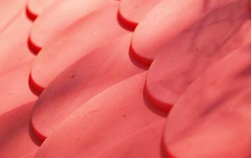 Blyford plastic roof costs