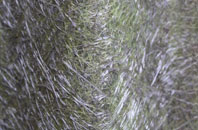 Blyford fibreglass roof work